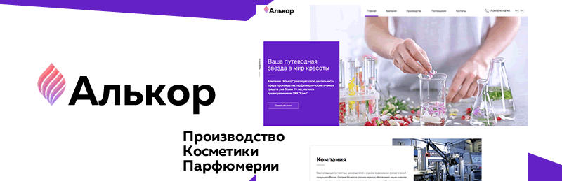 Пример разработанного сайта